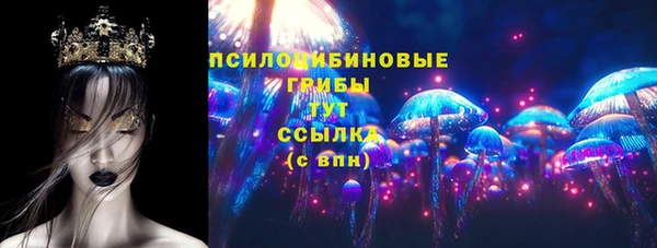 ПСИЛОЦИБИНОВЫЕ ГРИБЫ Богданович