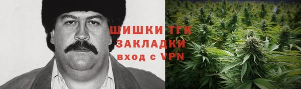 ПСИЛОЦИБИНОВЫЕ ГРИБЫ Богданович