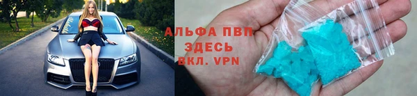 ПСИЛОЦИБИНОВЫЕ ГРИБЫ Богданович