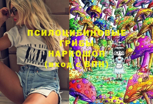 гидропоника Верея