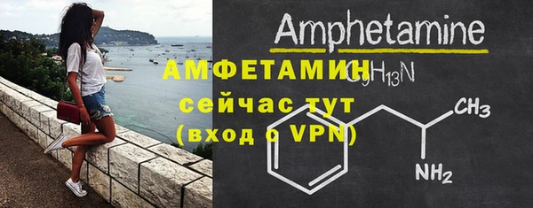 ПСИЛОЦИБИНОВЫЕ ГРИБЫ Богданович