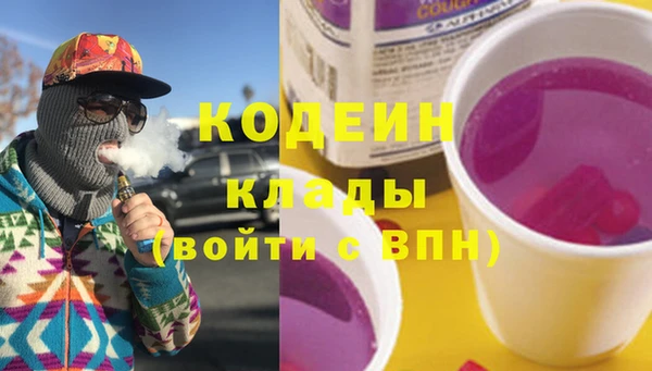 ПСИЛОЦИБИНОВЫЕ ГРИБЫ Богданович